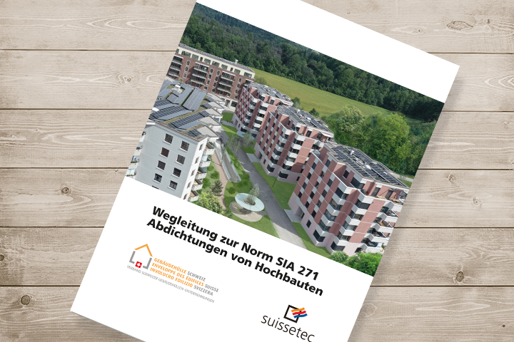 Wegleitung «Norm SIA 271:2021» | Set (Buch + E-Book ...